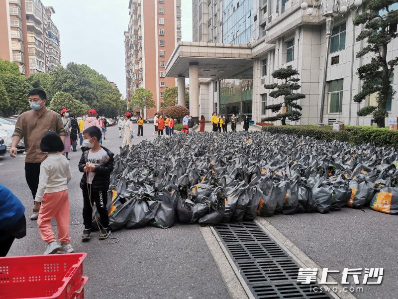 780份蔬菜包送到了湘林小區院內。長(cháng)沙晚報實(shí)習生 羅楊 攝